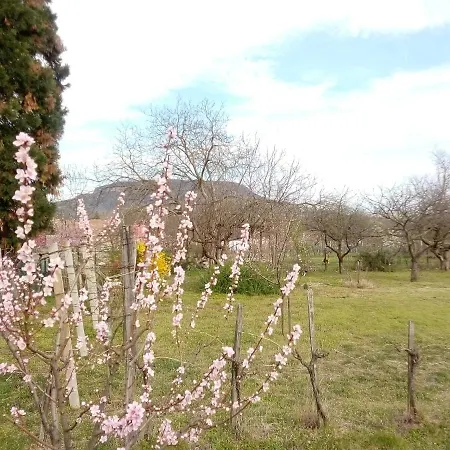 Le P'tit Baigneur - Balaton Szigliget