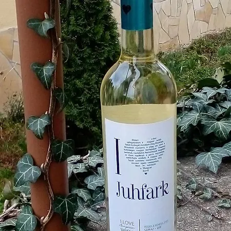Le P'tit Baigneur - Balaton